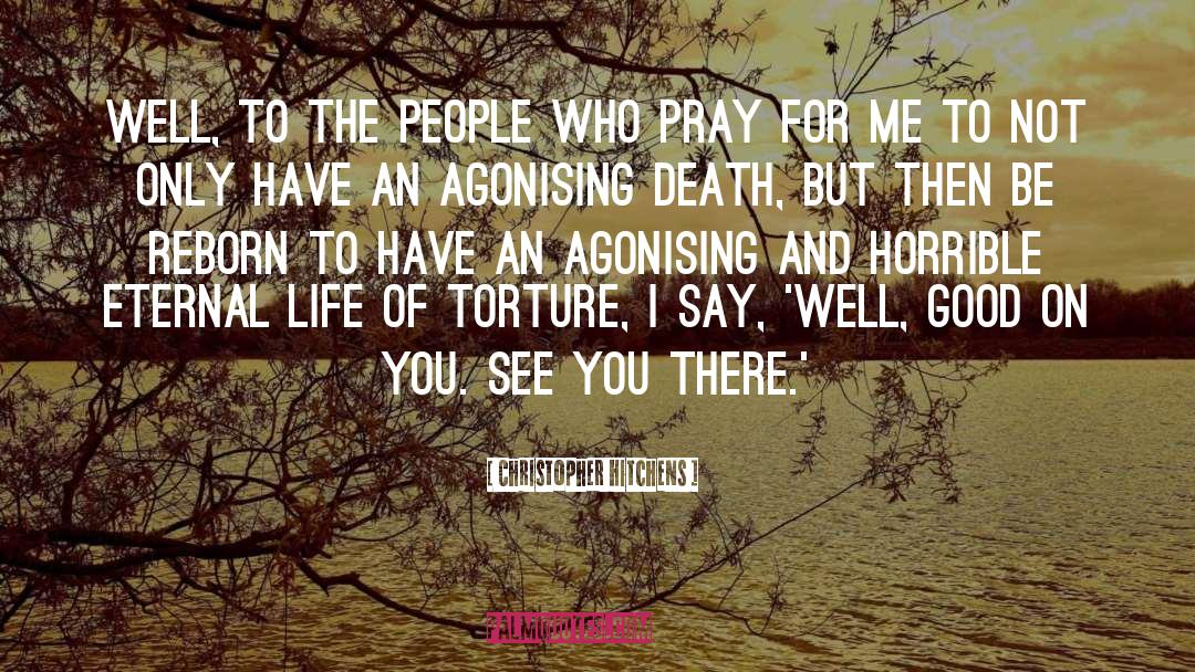 Pray For Me quotes by Christopher Hitchens