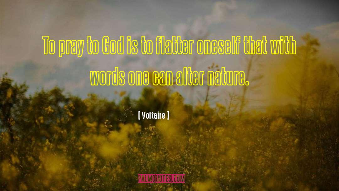 Pray To God quotes by Voltaire