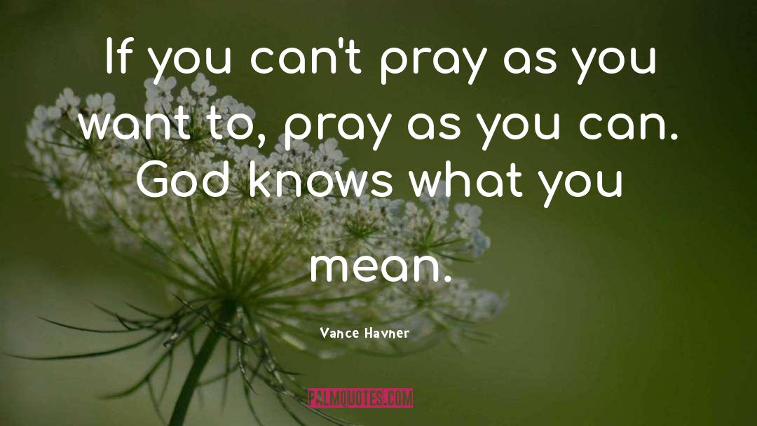 Prayer Warfare quotes by Vance Havner