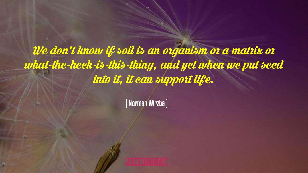 Praying Life quotes by Norman Wirzba