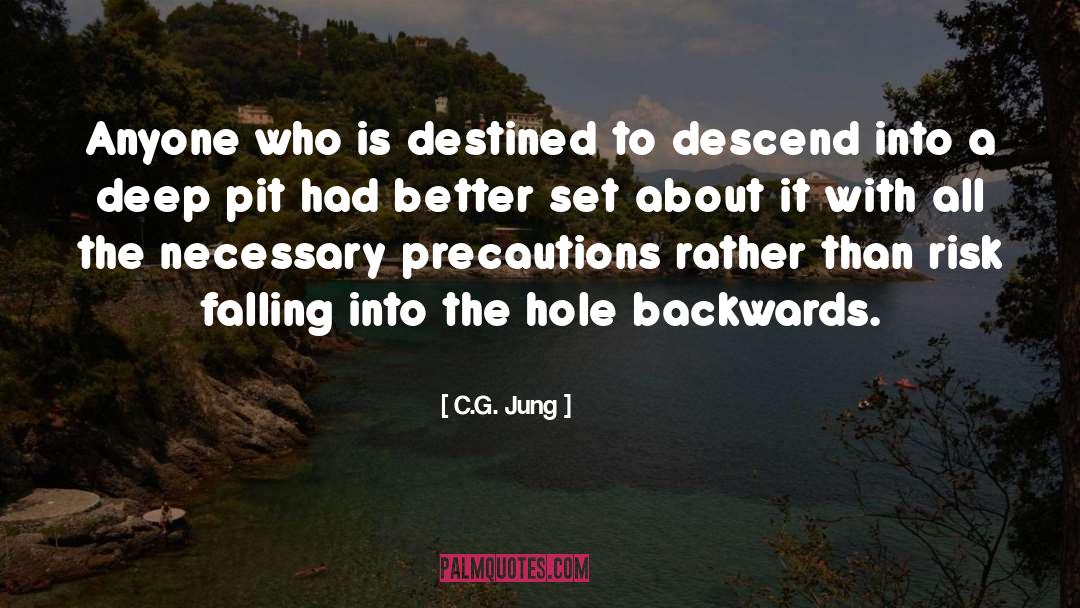 Precautions quotes by C.G. Jung