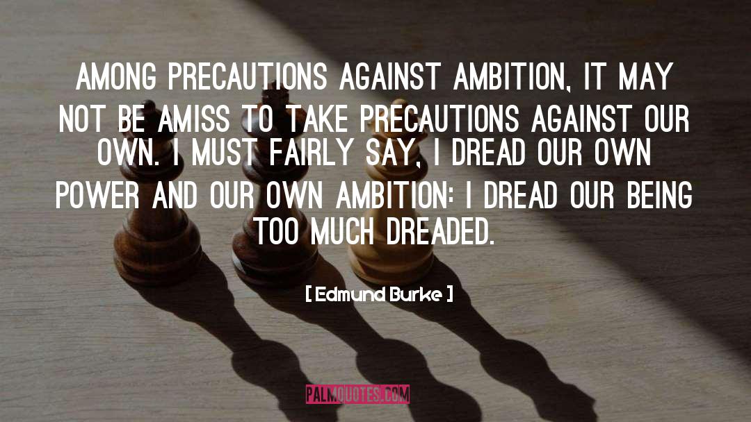 Precautions quotes by Edmund Burke