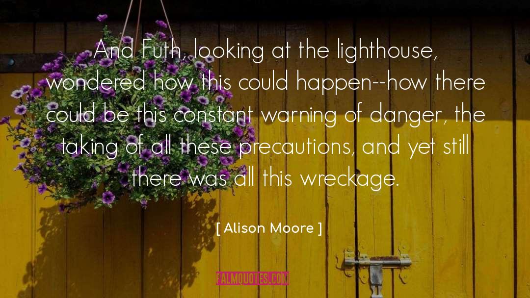 Precautions quotes by Alison Moore