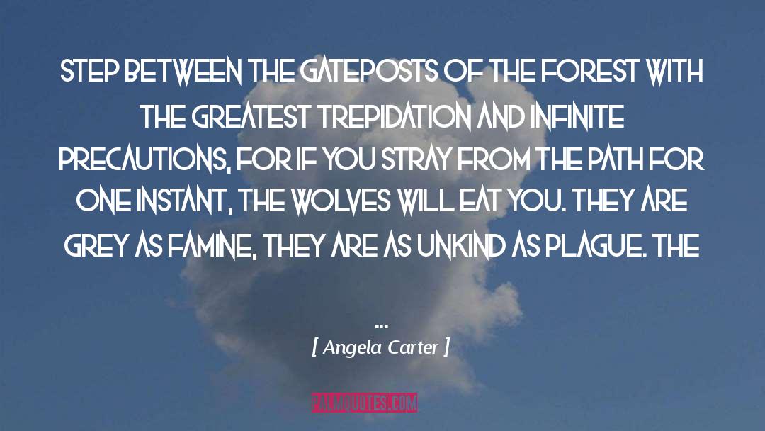 Precautions quotes by Angela Carter