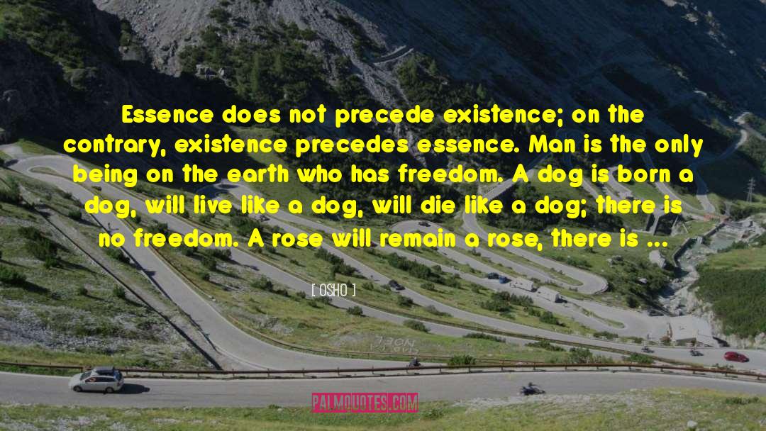 Precede quotes by Osho