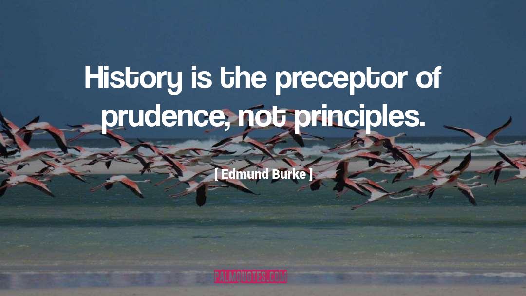 Preceptor quotes by Edmund Burke