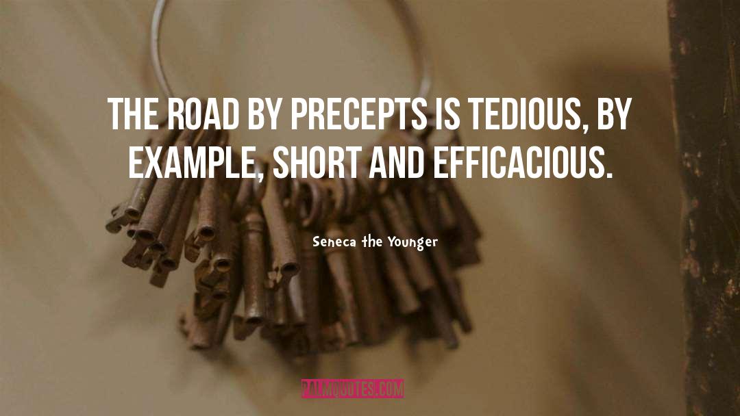 Precepts quotes by Seneca The Younger