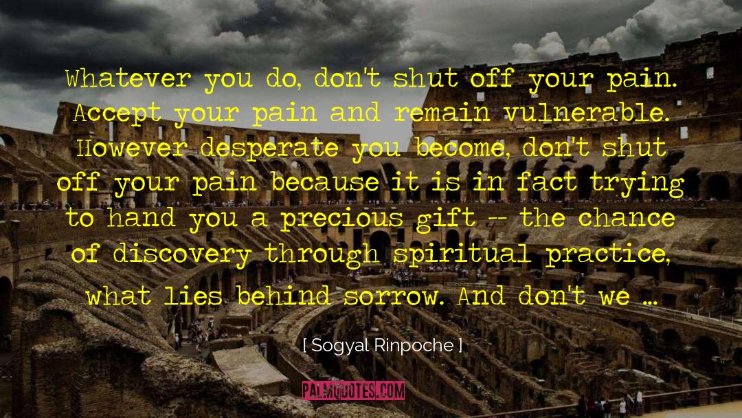 Precious Gift quotes by Sogyal Rinpoche