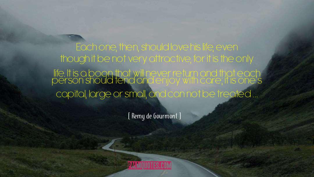 Precious Life quotes by Remy De Gourmont