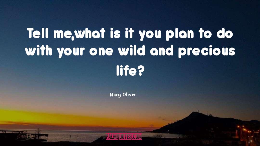 Precious Life quotes by Mary Oliver