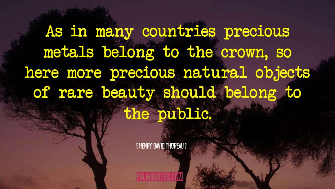 Precious Metals quotes by Henry David Thoreau