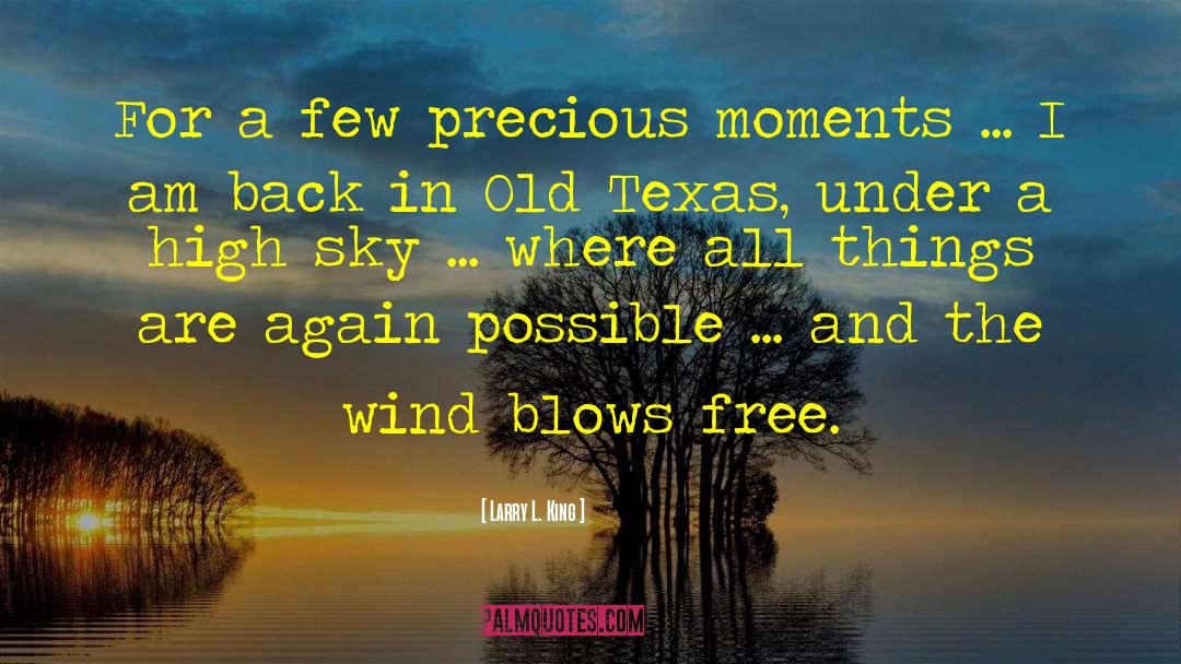 Precious Moments quotes by Larry L. King