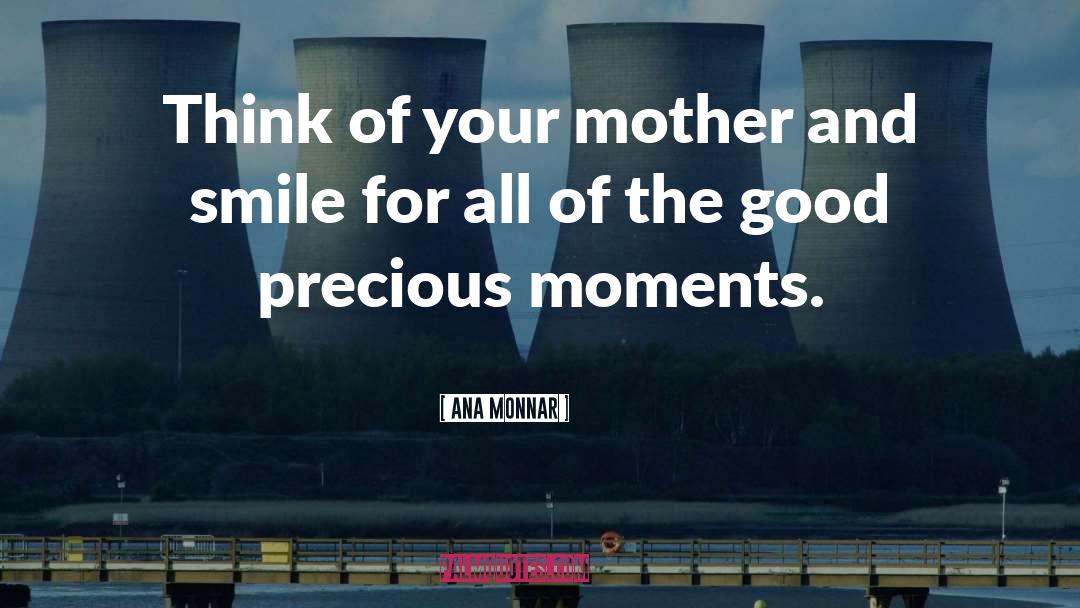Precious Moments quotes by Ana Monnar
