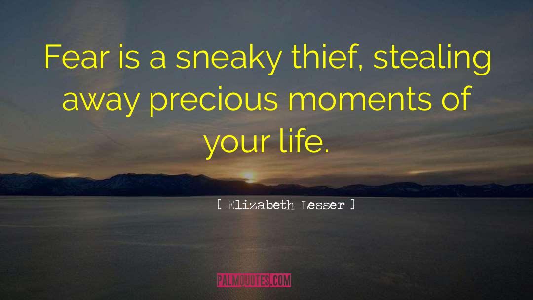 Precious Moments quotes by Elizabeth Lesser