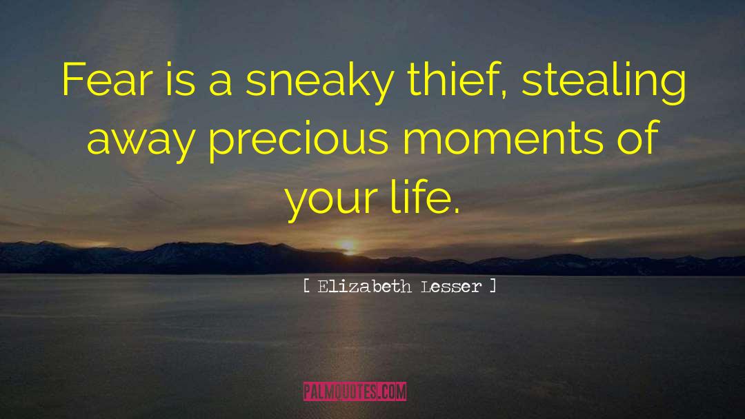 Precious Moments Sister quotes by Elizabeth Lesser