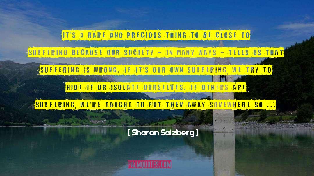 Precious Things quotes by Sharon Salzberg