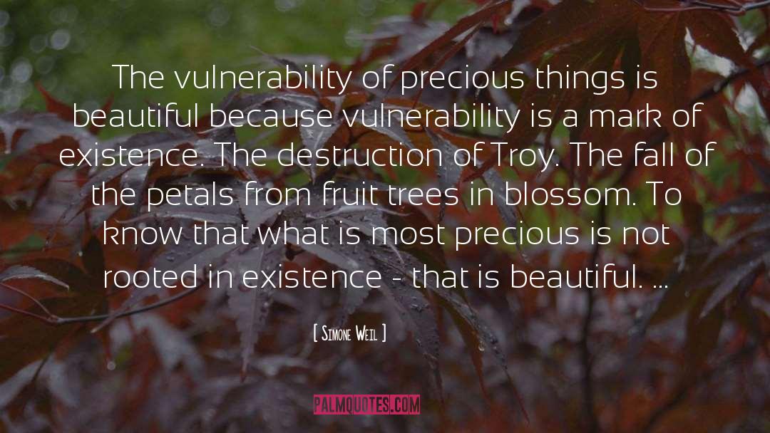 Precious Things quotes by Simone Weil