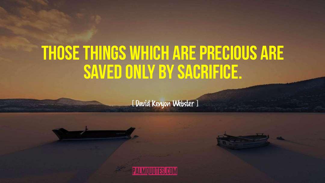 Precious Things quotes by David Kenyon Webster