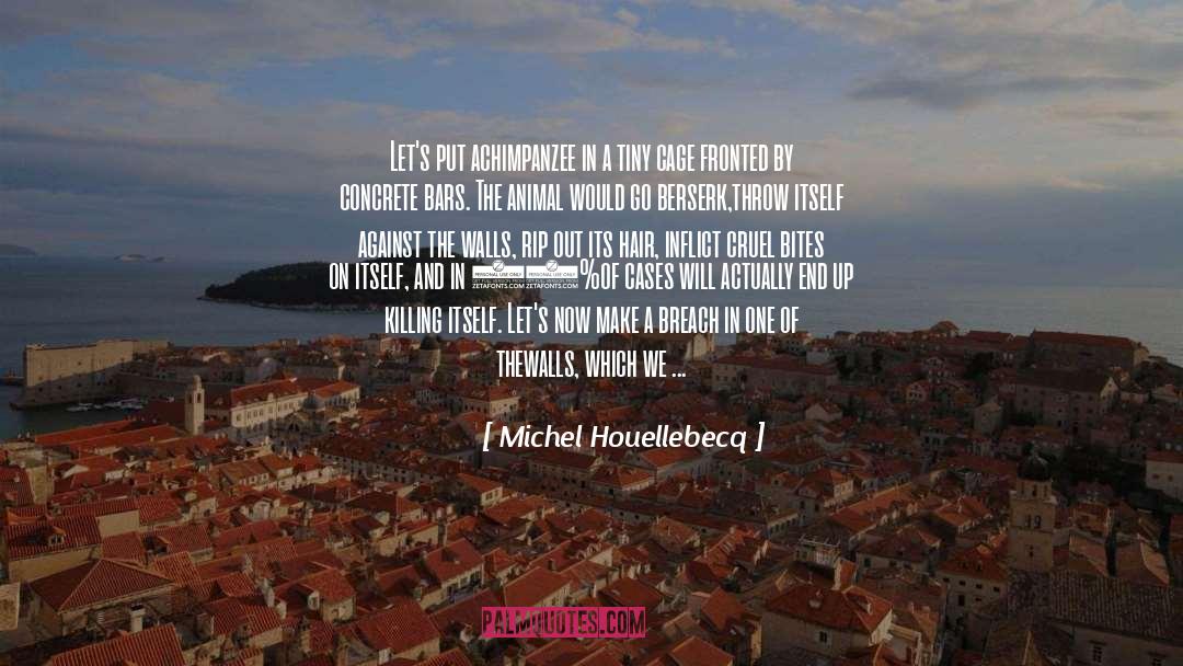 Precipice quotes by Michel Houellebecq