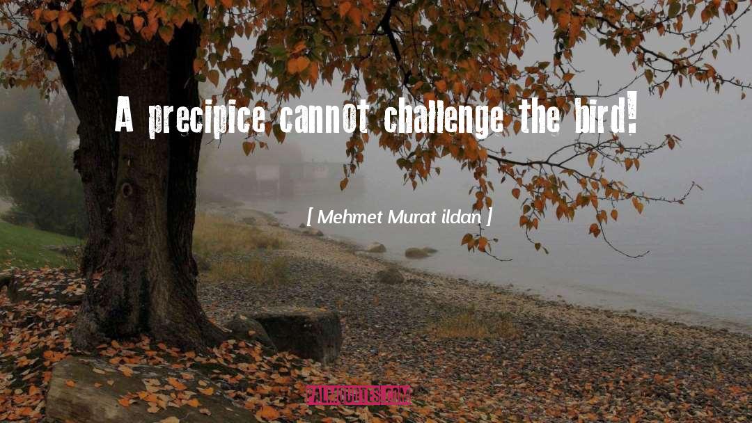 Precipice quotes by Mehmet Murat Ildan