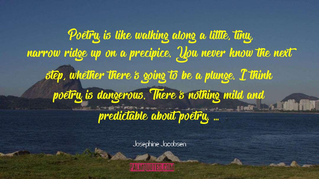 Precipice quotes by Josephine Jacobsen