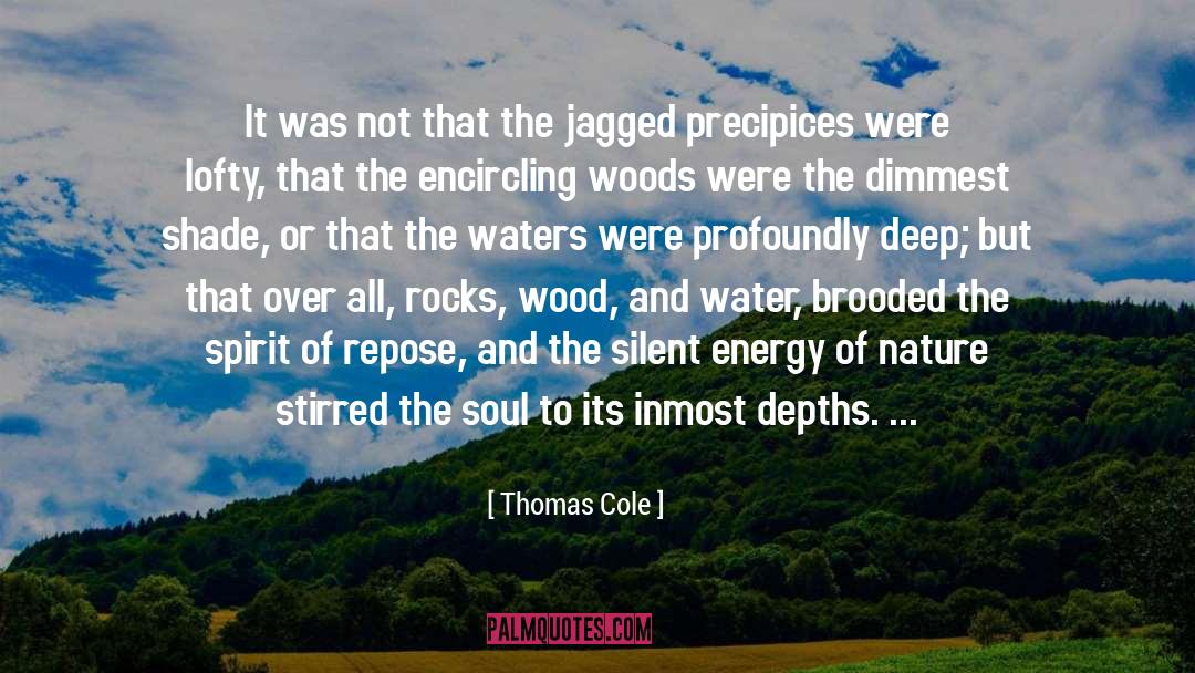 Precipices quotes by Thomas Cole
