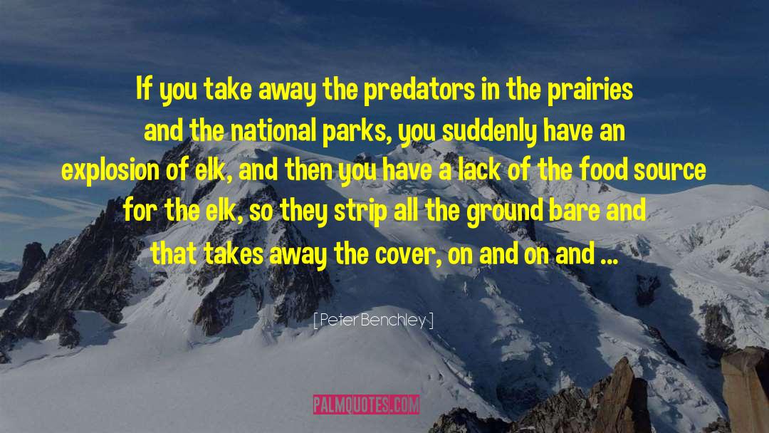 Predators quotes by Peter Benchley