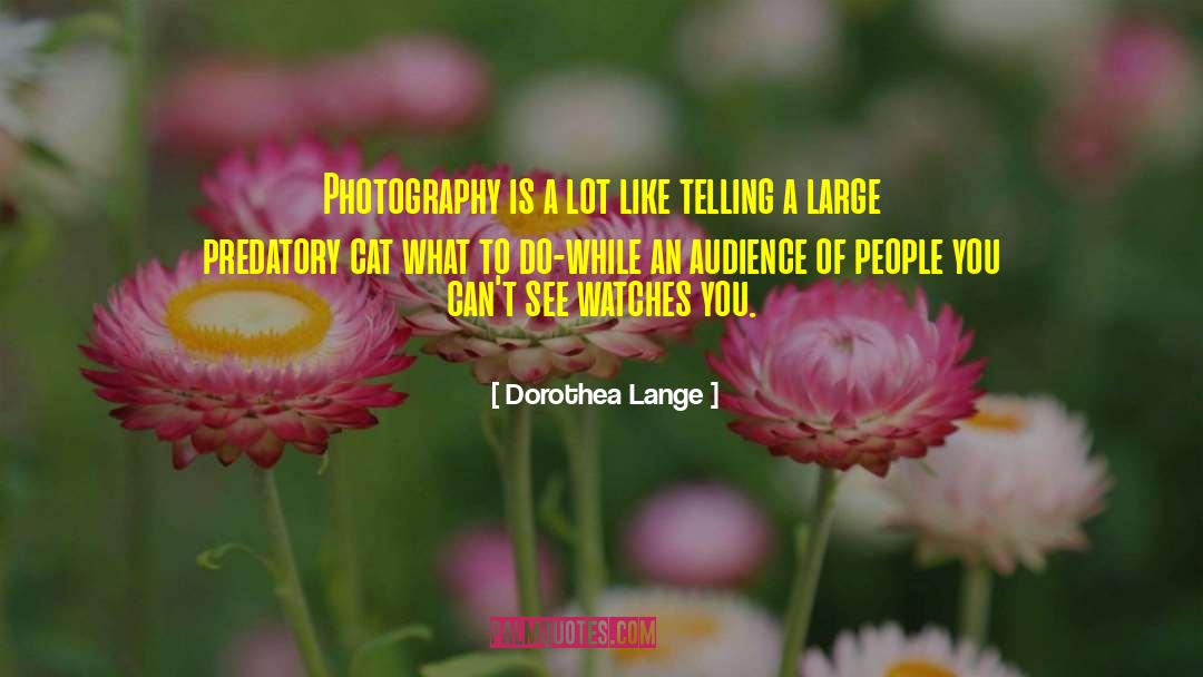 Predatory quotes by Dorothea Lange