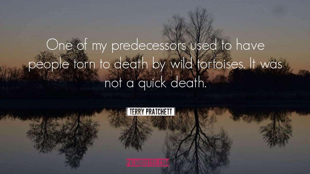 Predecessors quotes by Terry Pratchett