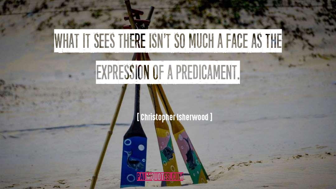 Predicament quotes by Christopher Isherwood