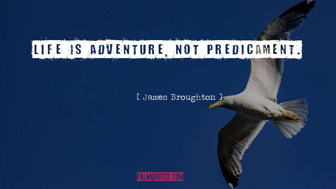 Predicament quotes by James Broughton