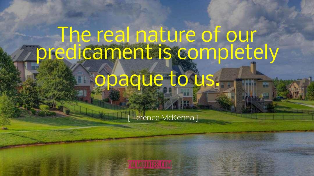 Predicaments quotes by Terence McKenna