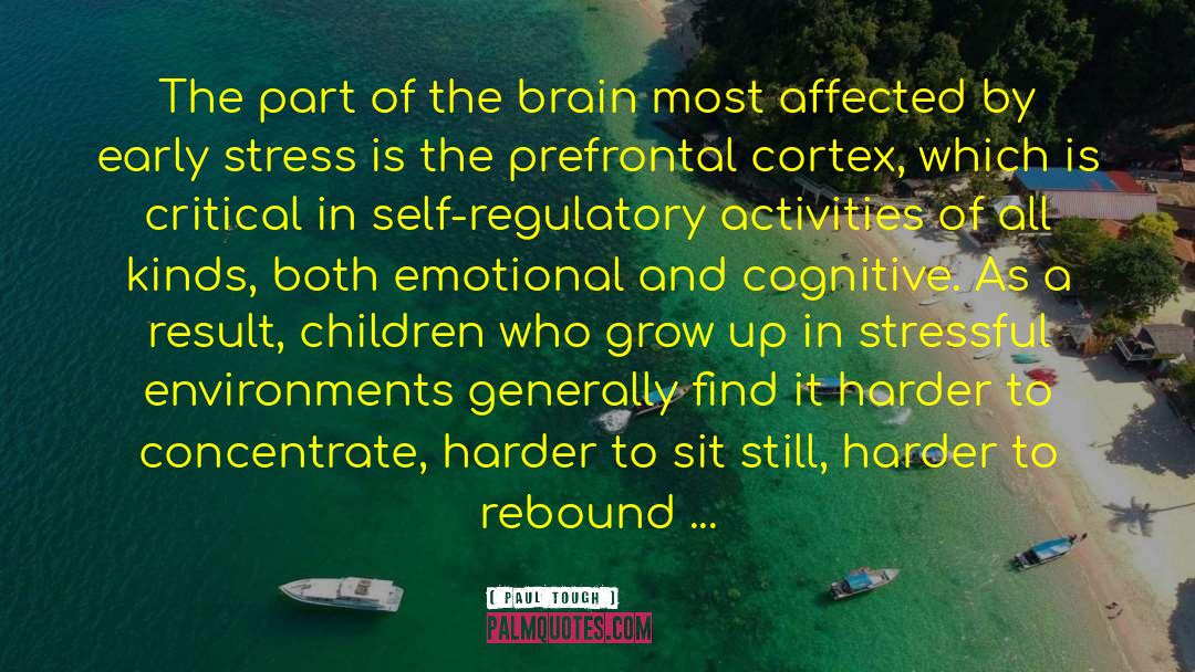 Prefrontal Cortex quotes by Paul Tough