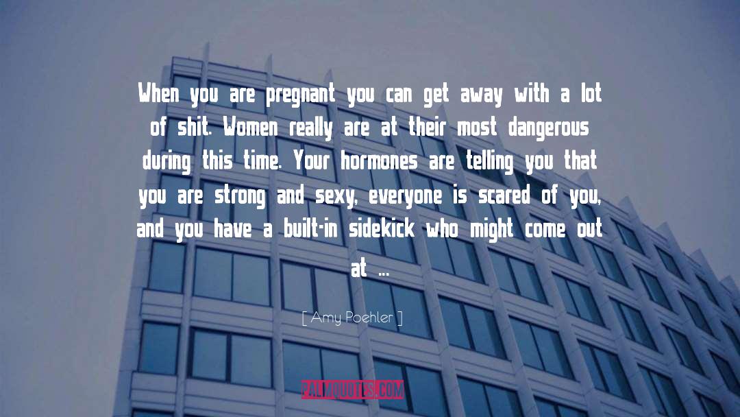 Pregnancy Hormones Humor quotes by Amy Poehler