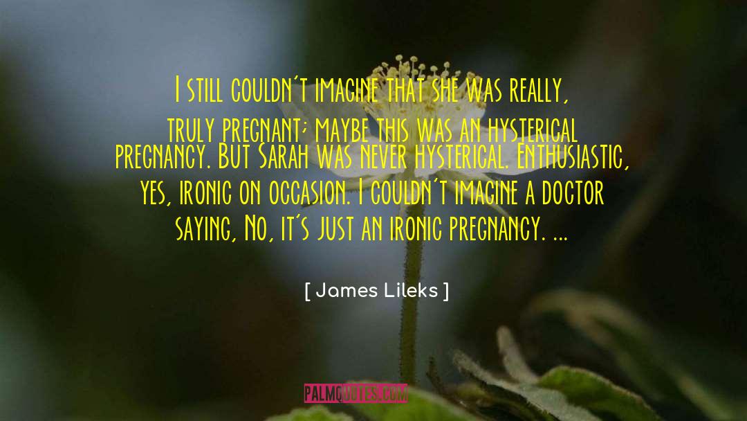 Pregnancy Infant Loss Remembrance Day quotes by James Lileks