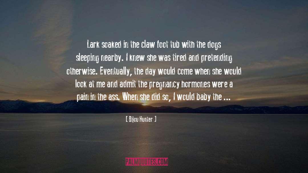Pregnancy Pains quotes by Bijou Hunter