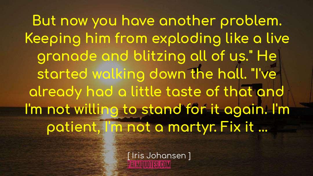 Pregnant Again quotes by Iris Johansen