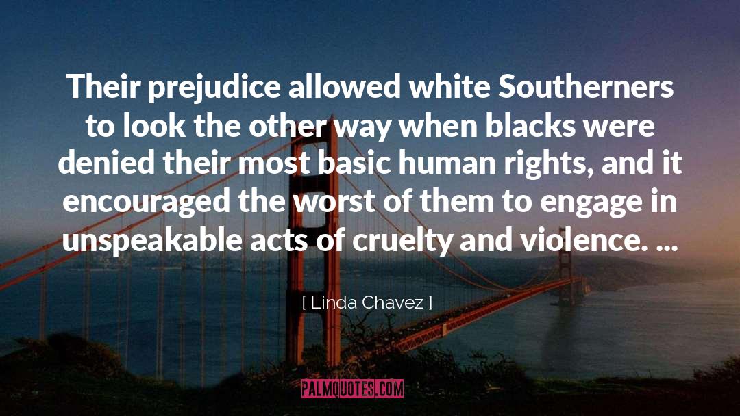 Prejudice quotes by Linda Chavez