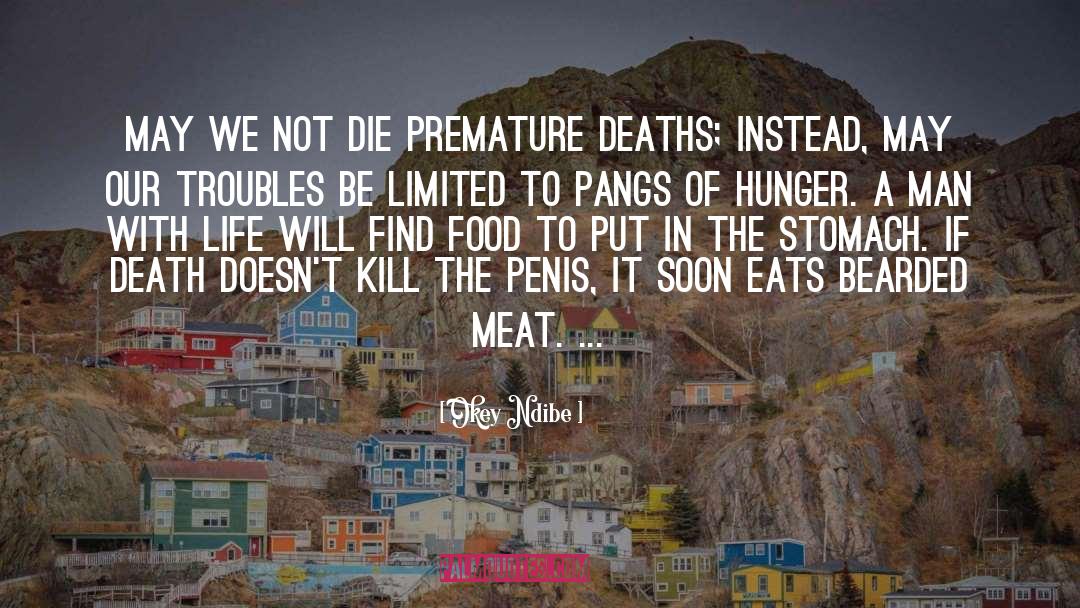Premature quotes by Okey Ndibe