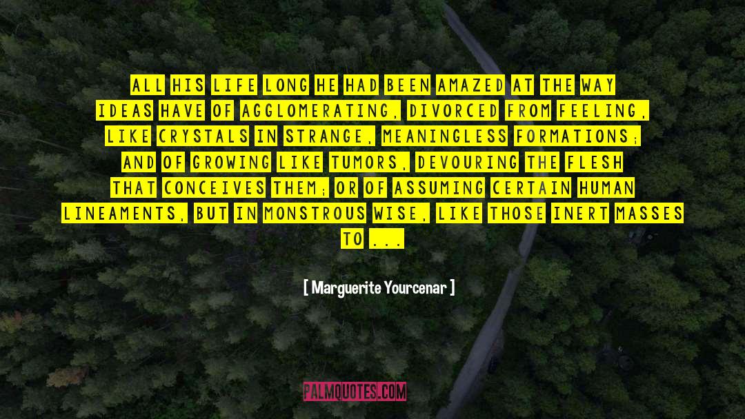 Premises quotes by Marguerite Yourcenar