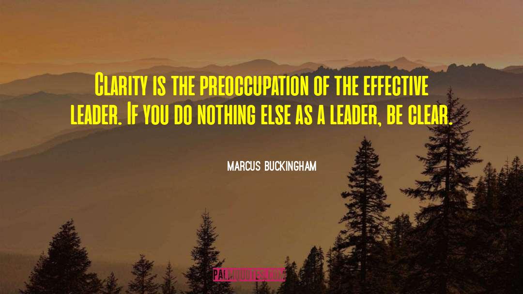 Preoccupation quotes by Marcus Buckingham