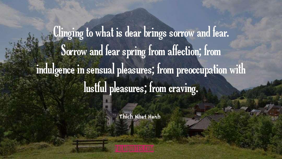 Preoccupation quotes by Thich Nhat Hanh