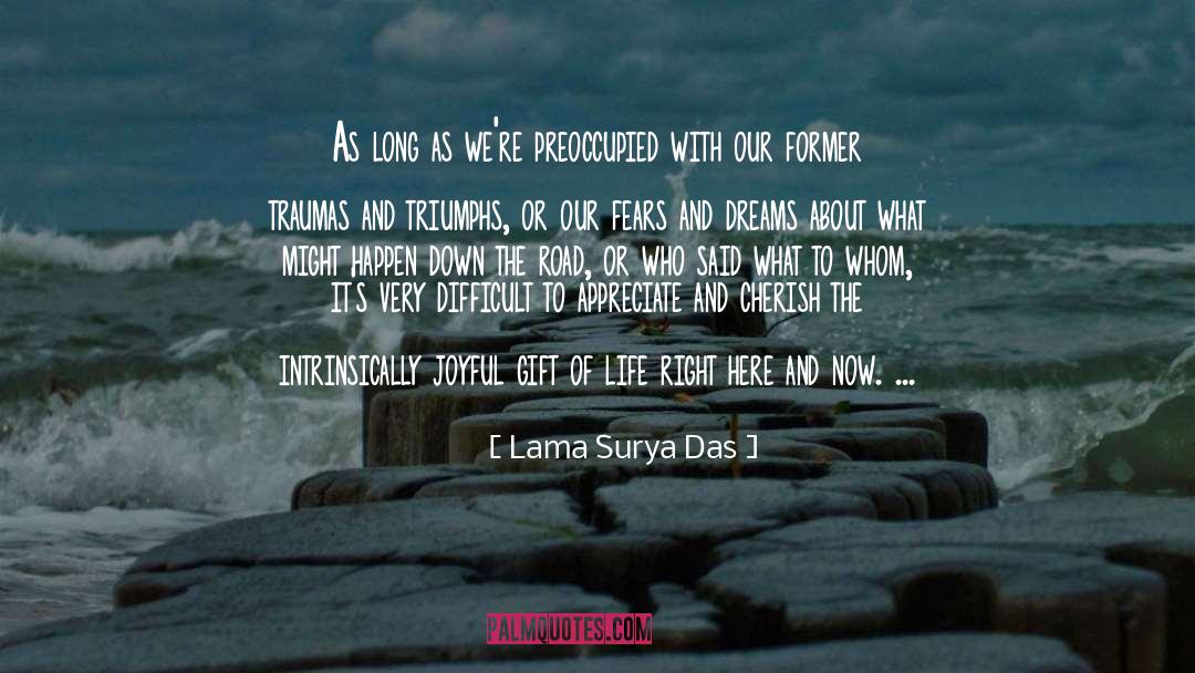 Preoccupied quotes by Lama Surya Das