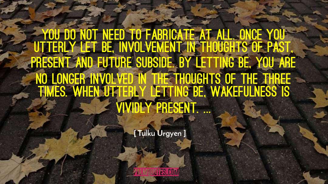 Present And Future quotes by Tulku Urgyen