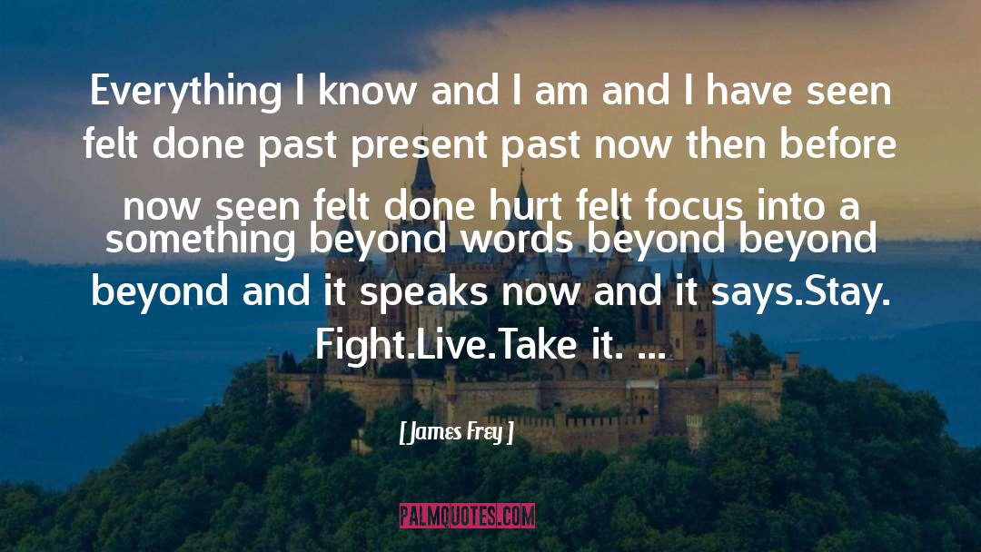 Present Melting Into Past quotes by James Frey