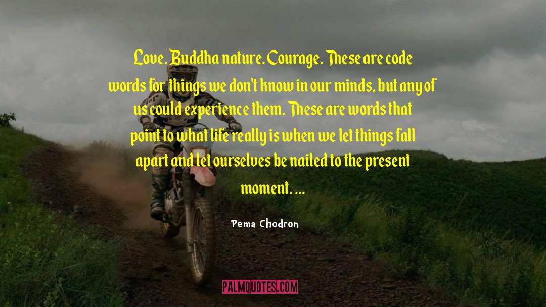 Present Moment Living quotes by Pema Chodron
