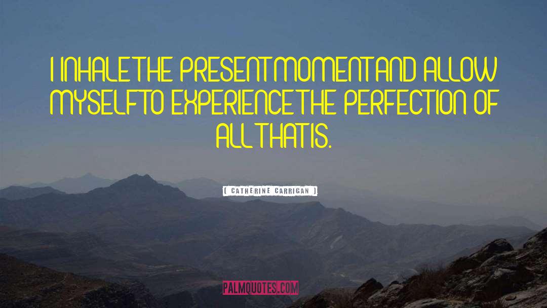 Present Moment Qoutes quotes by Catherine Carrigan