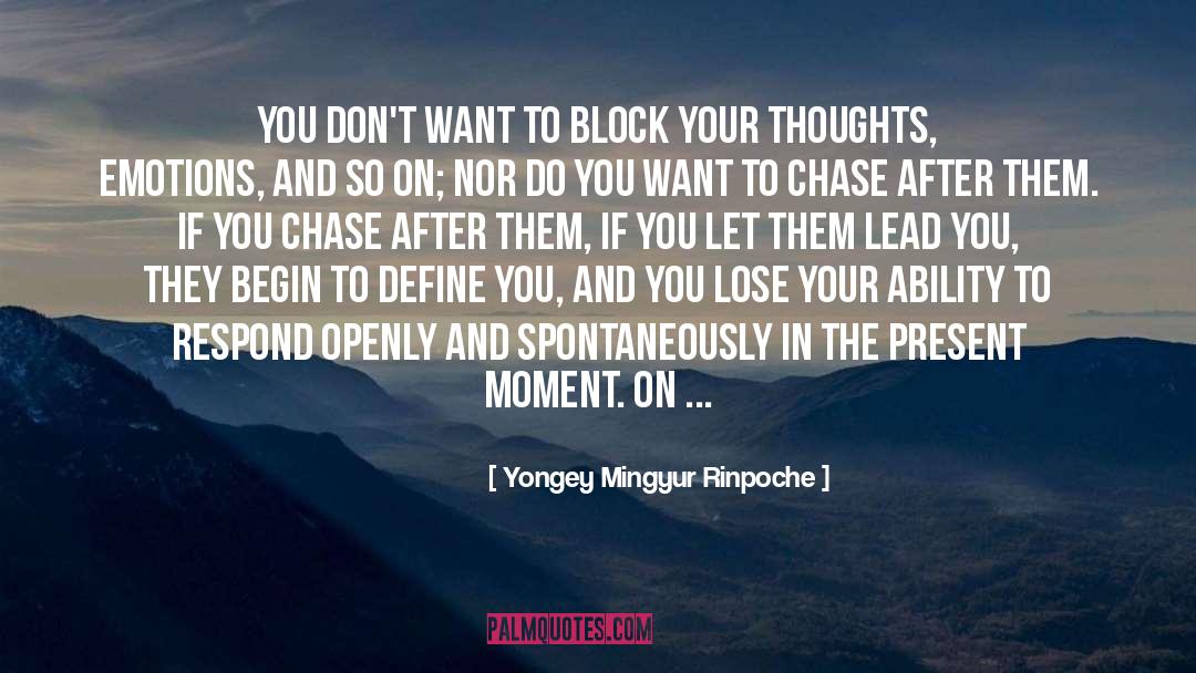 Present Moment quotes by Yongey Mingyur Rinpoche