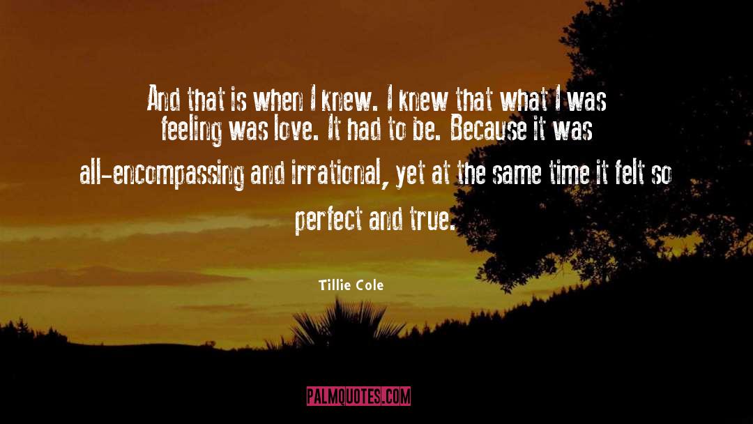 Present Perfect quotes by Tillie Cole