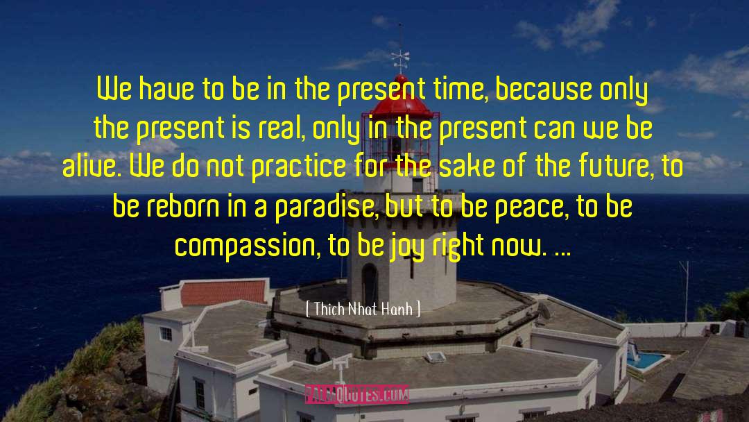 Present Time quotes by Thich Nhat Hanh